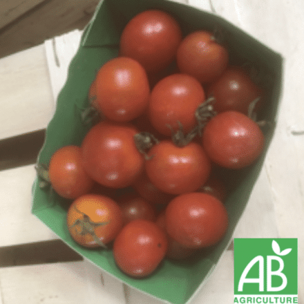 tomates cerises bio