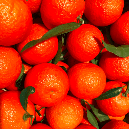 CLEMENTINES CORSE